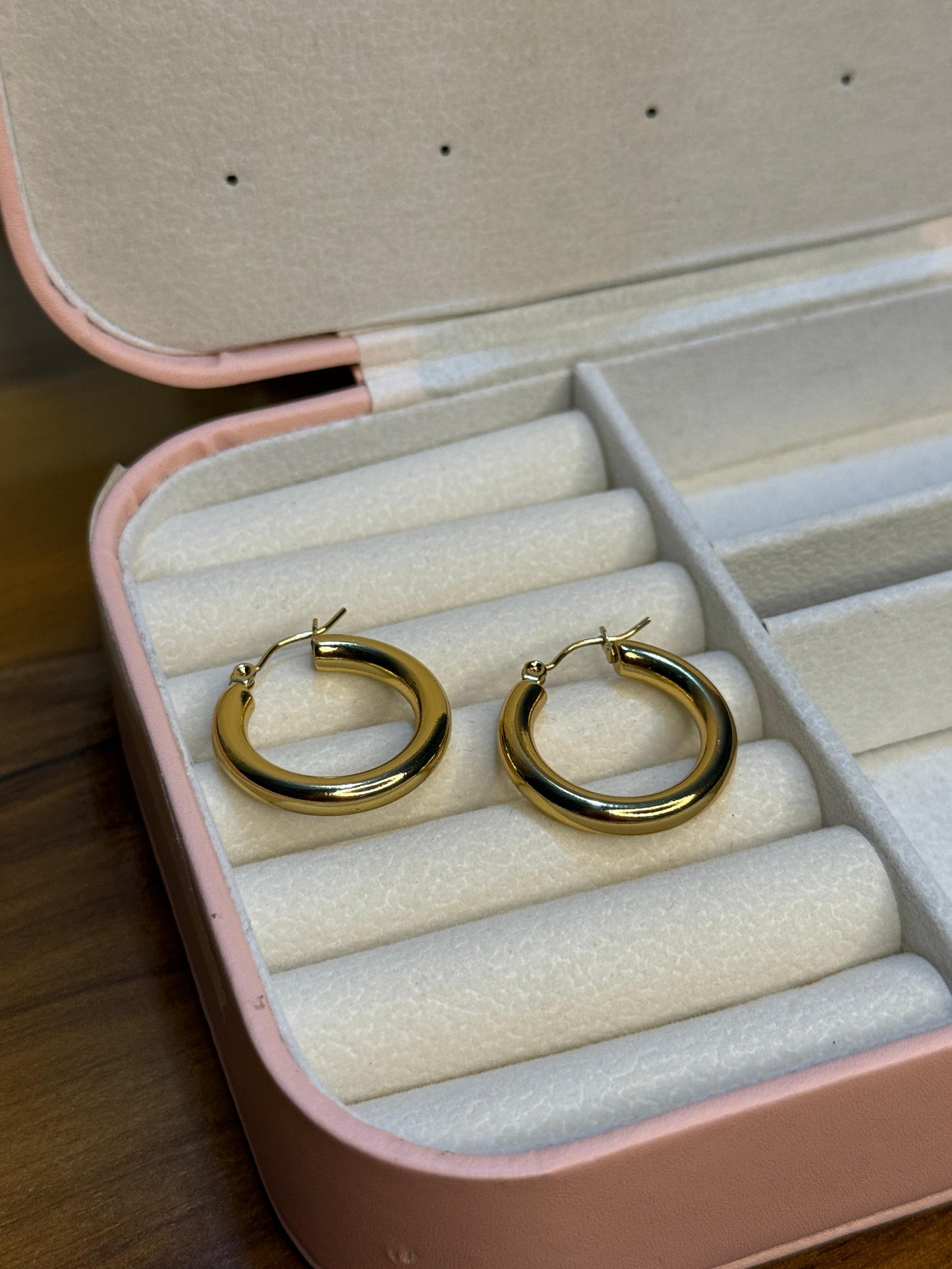 Golden Ring Earring