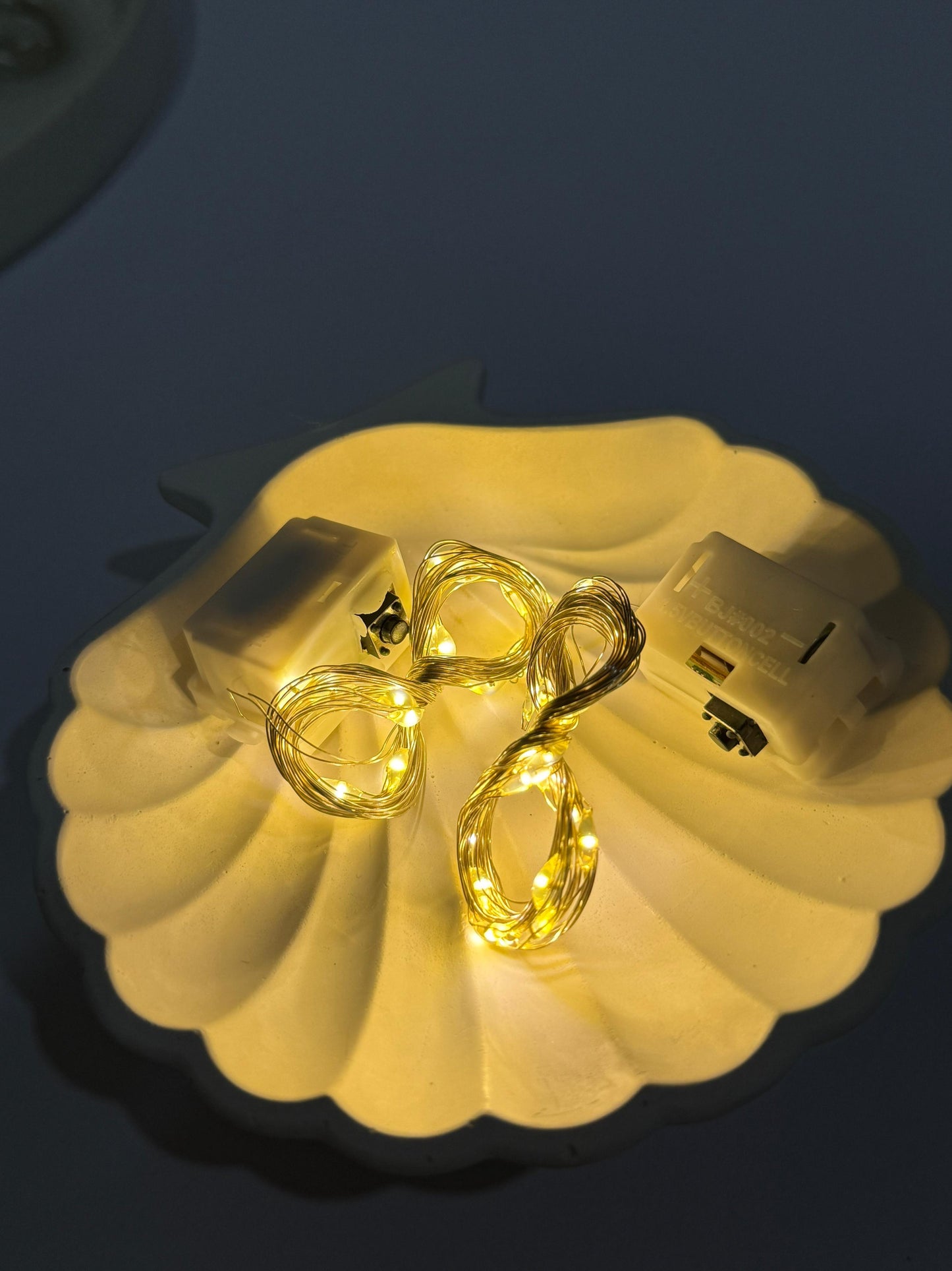 Fairy Lights